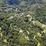 275 Acres Escaleras Dominical