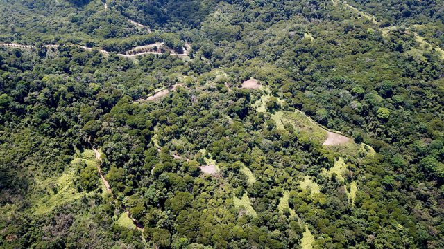 275 Acres Escaleras Dominical
