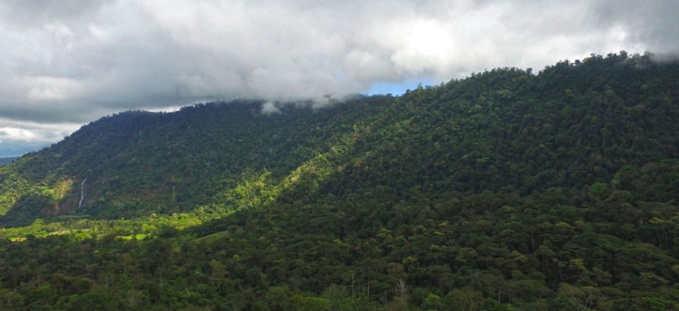 770 Acres In Southern Costa Rica With Vital Wildlife Corridors