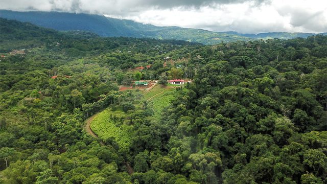 Platanillo Estates