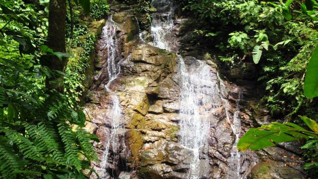 Private Nature Reserve