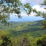 Ocean View Land Parcel