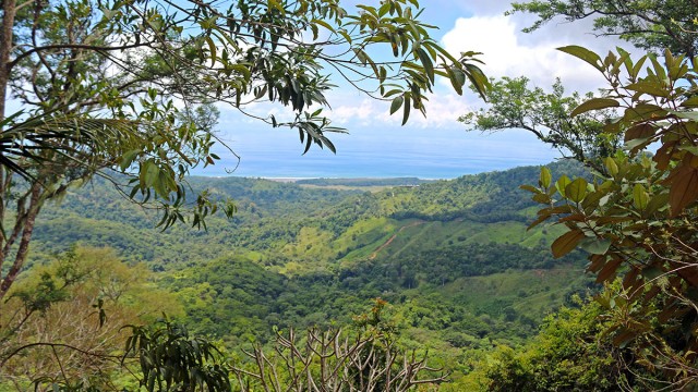 Ocean View Land Parcel