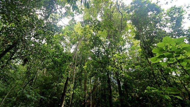 Affordable Costa Rica Real Estate  Affordable  Land Parcels Close To Dominical