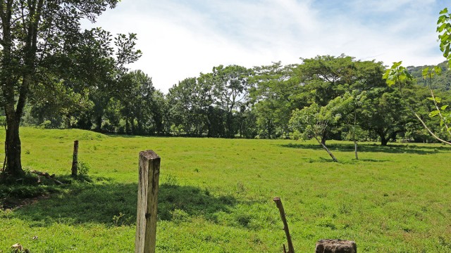 Farm Land In Costa Rica