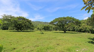 Finca Baru 51 Acre Commercial Property With Public Road Frontage