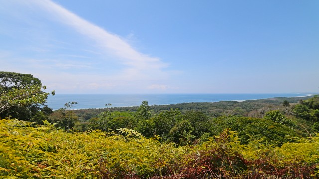 Ocean View Property