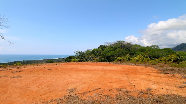 Luxury Home Site