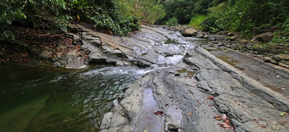 49 Acre Riverfront Property Close To Hot Springs In Hatillo