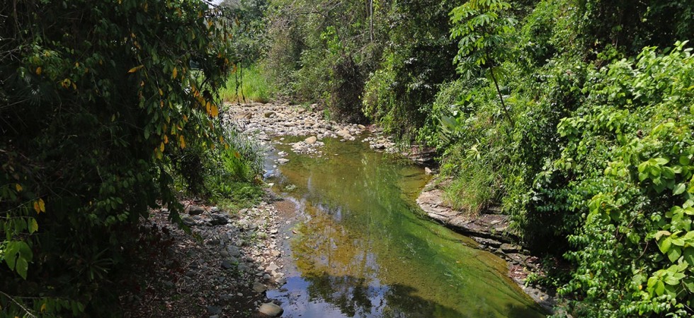 49 Acre Riverfront Property Close To Hot Springs In Hatillo
