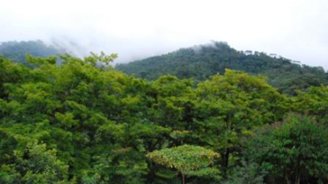 100 Acres With Beautiful Rivers And Waterfalls Near Quepos