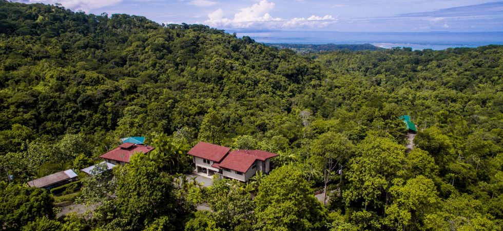 Rainforest Sanctuary With Two Ocean View Homes Near The Morete River