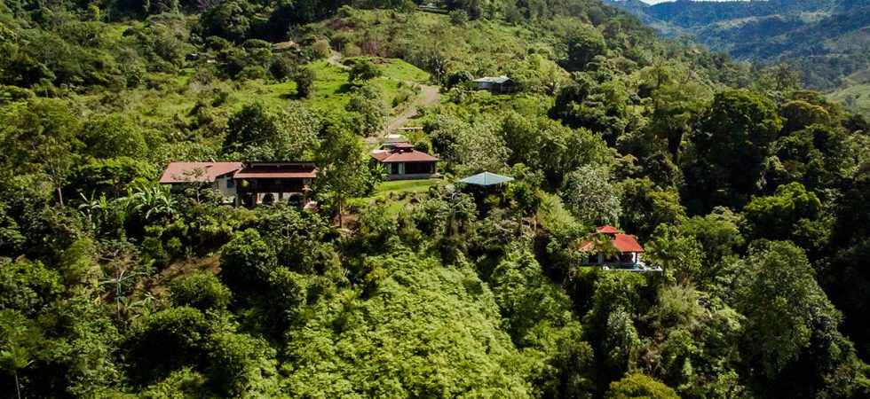 Rainforest Sanctuary With Two Ocean View Homes Near The Morete River