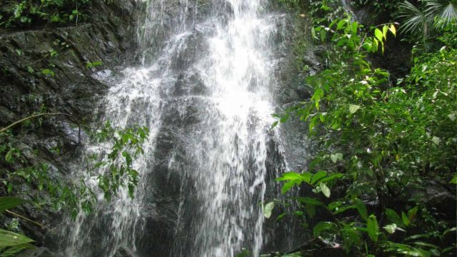 Toucan Ridge