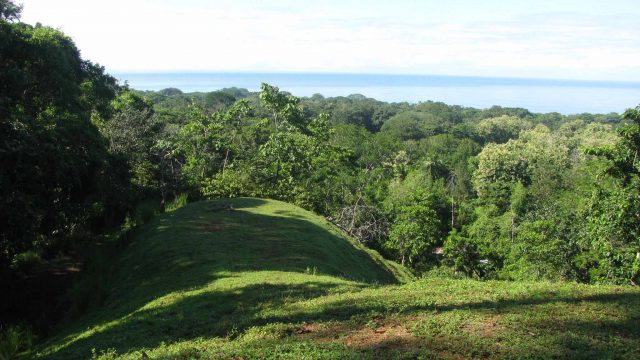 Toucan Ridge