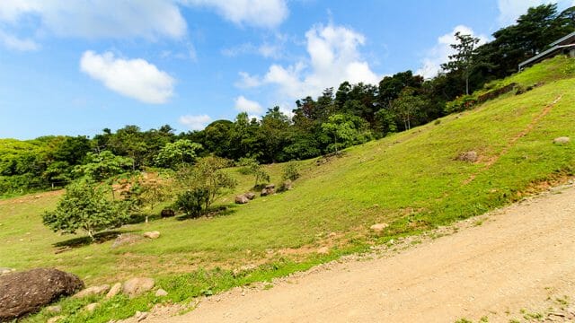5+ Acres for Expansion
