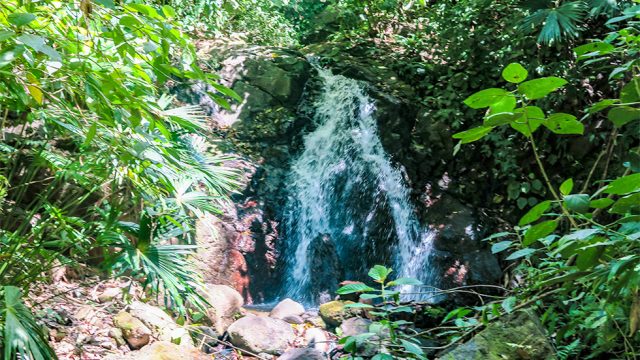 Waterfall Nature Trail