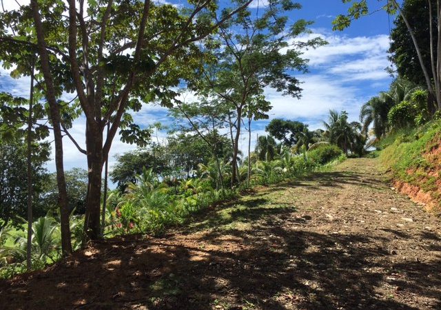 Great Home Site with a Creek In A Private Community In Playa Ballena