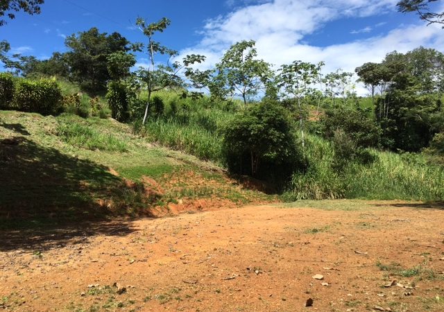 Great Home Site with a Creek In A Private Community In Playa Ballena