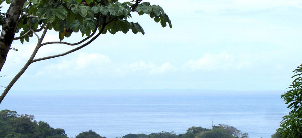 Great Deal For An Ocean View Lot By The Beach In Canto Del Mar