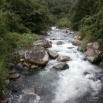 Chirripo River Frontage