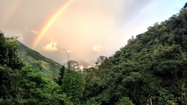 Rainbow In Costa Rica