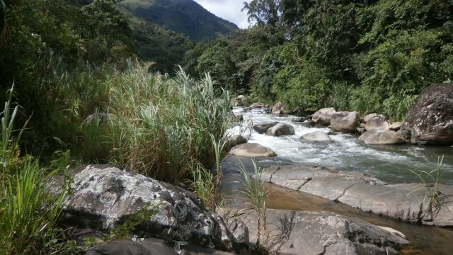Chirripo River Frontage