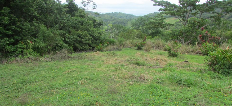 Over 9 Acre Ocean View Land Parcel In Lagunas With 3 Large Building Sites
