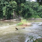 Whitewater Rafting River
