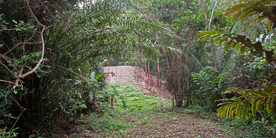 Two Acre Home Site Bordering A Creek In The Lagunas Community