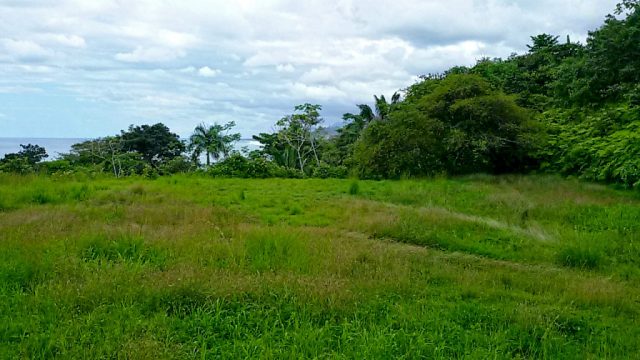 Home Building Site In Dominical