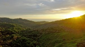 33 Acre Development Property With Ocean Views Located In Lagunas