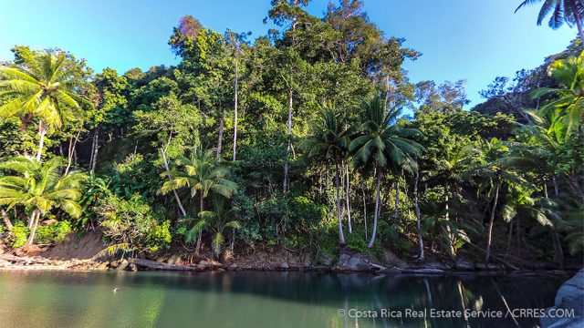 Jungle River Costa Rica