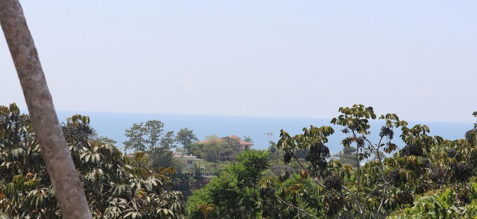 Large Home Site In Ojochal With Ocean Views And Easy Access