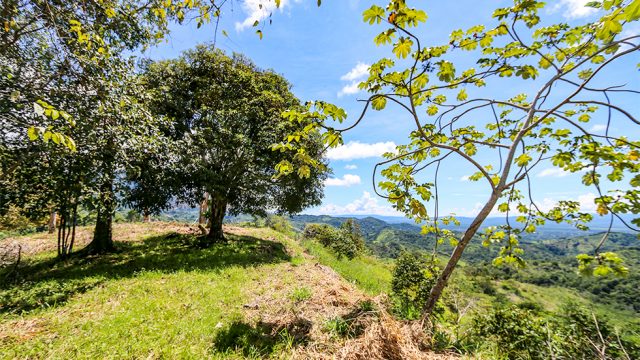 Self-Sustainable Lifestyle In Costa Rica