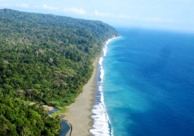 Rainforest Beachfront Property Filled with Wildlife Near Cabo Matapalo