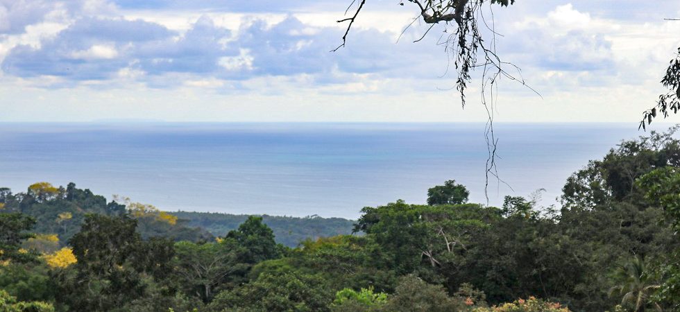 Beautiful Ocean View Property In Hatillo With Large Building Site
