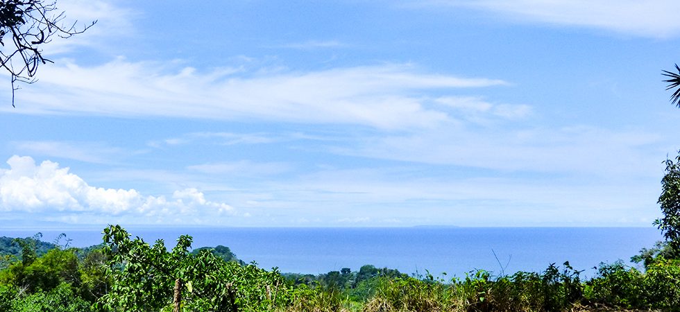 Beautiful Ocean View Property In Hatillo With Large Building Site