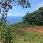 3 Acre Parcel In Dominical