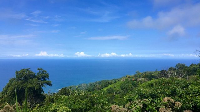3 Acre Parcel In Dominical