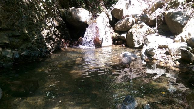 Rainforest Studio In Uvita
