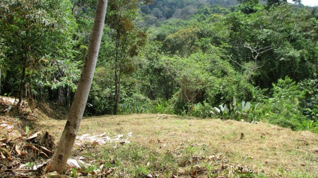 Land Parcel Dominicalito