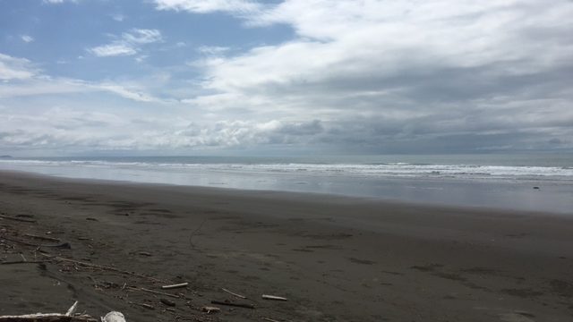 Matapalo Beachfront