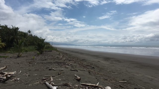 Matapalo Beachfront Concession Land