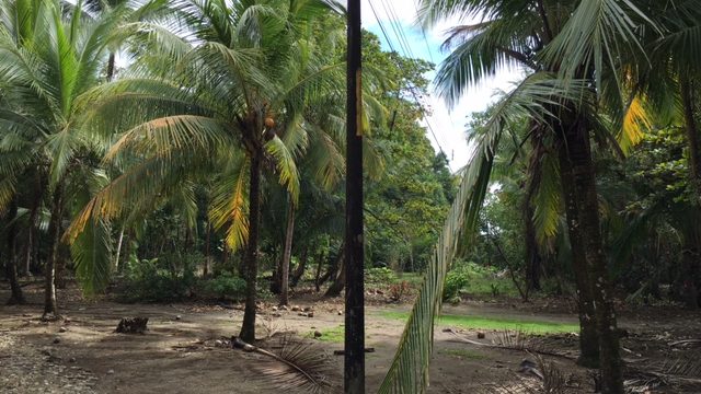 Matapalo Beachfront Concession Land