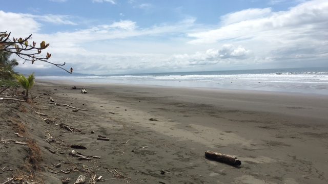 Matapalo Beachfront Concession Land