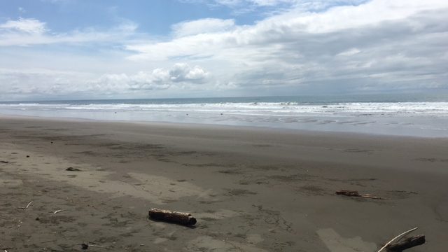 Matapalo Beachfront Concession Land
