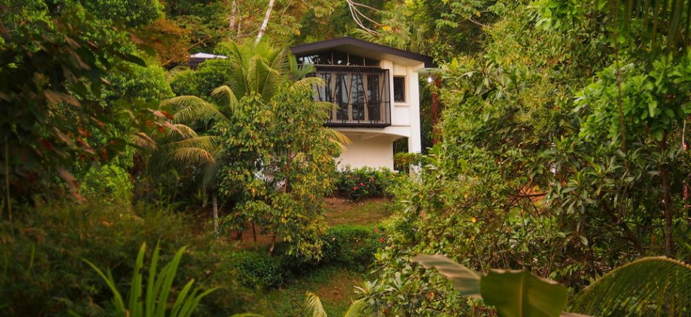 Private Rainforest Studio With Ocean View And Extra Building Site