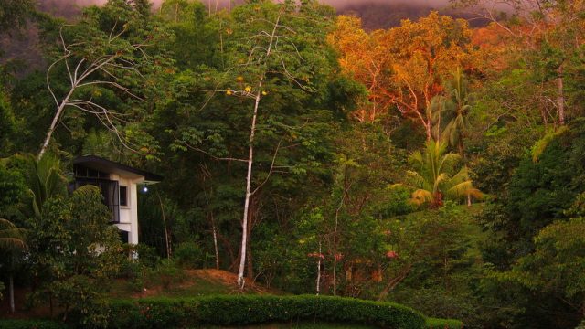 Rainforest Studio In Uvita