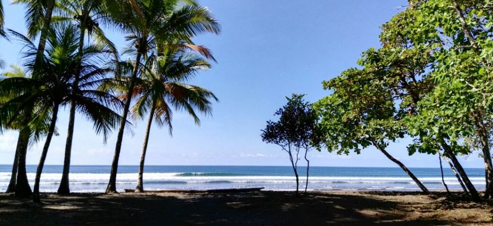 Almost 1/2 Acre Of Beachfront Concession Land In Playa Matapalo